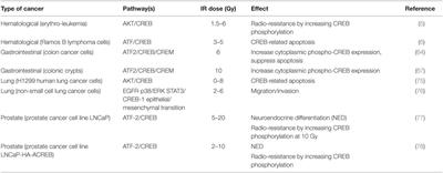 Regulation of Cancer Cell Responsiveness to Ionizing Radiation Treatment by Cyclic AMP Response Element Binding Nuclear Transcription Factor